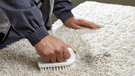 Professional Rug Cleaning Seabrook