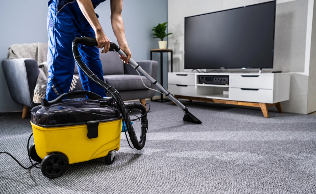 Extract Rug Cleaning Seabrook Contact Office